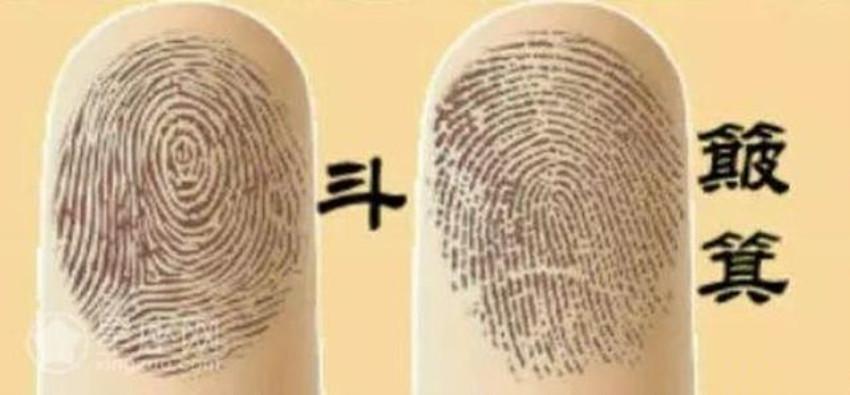 手相:手指上的斗和簸箕两种指纹,你属于哪种?