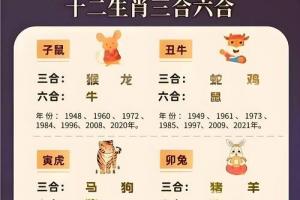 蛇与牛,鸡相合,代表着和谐,稳定与幸福.