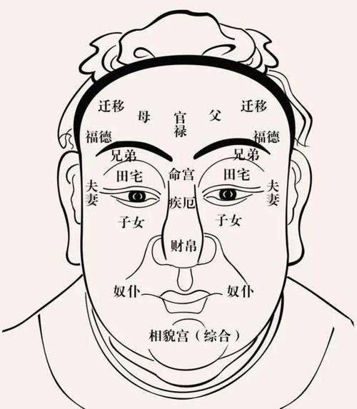 面相小知识论三庭的重要性