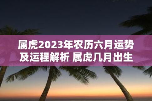 这些月份出生的属虎人,运势相对较好,有着较为顺利的人生道路.