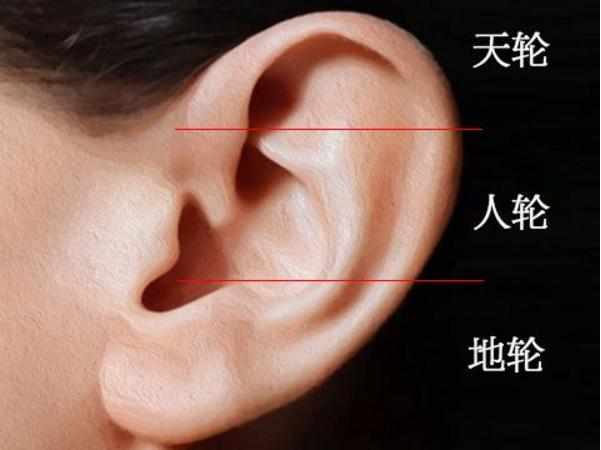 耳朵面相分析图解耳朵富贵相分析