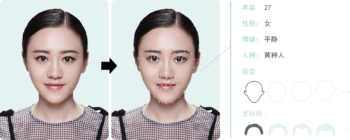 人脸框坐标人脸五官与轮廓的关键点坐标位置 并提供详细的人脸状态