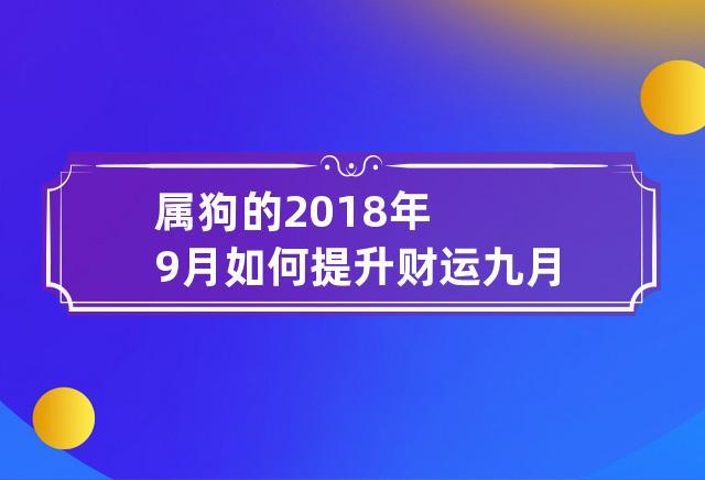 属狗的2023年9月如何提升财运 九月份属狗的财运