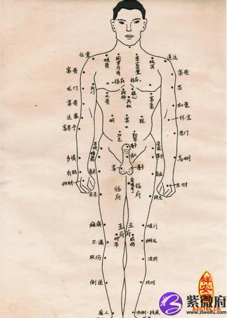 身上痣相图解大全