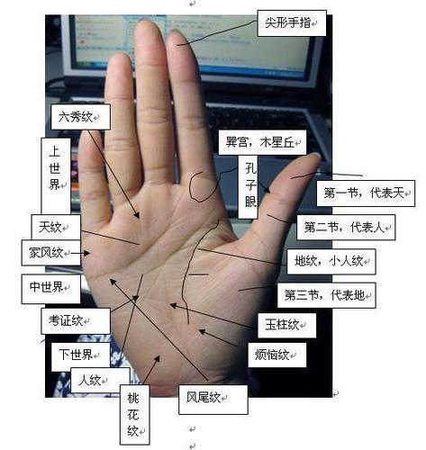 手相分析原则:右手代表先天本命,管40岁以前,左手代表后天运程,管40岁