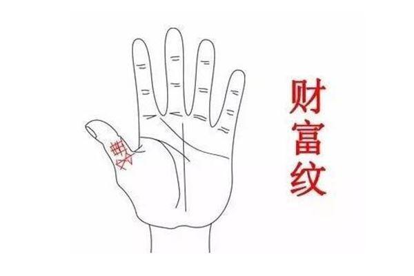 十条富贵手相第一条:财富纹,主要在大拇指的第二节上.