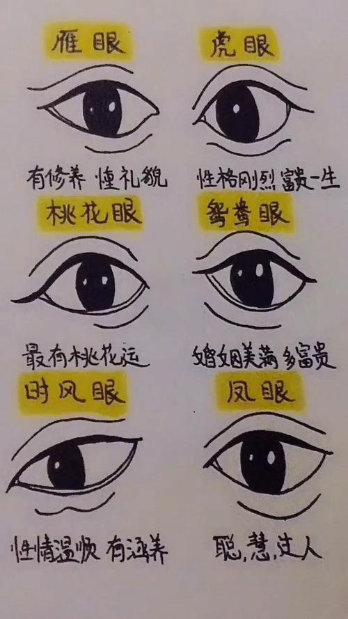 面相来看,你的眼睛是哪种类型?