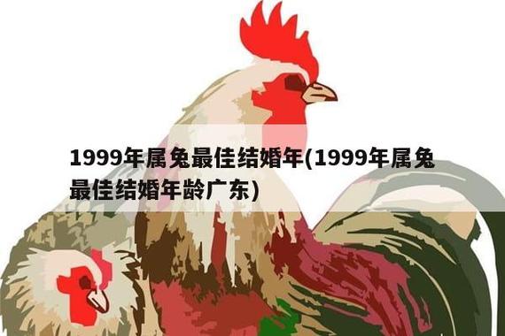 99年属兔最佳结婚年龄 23,23,25岁为最佳年龄?