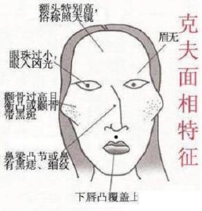 女人脸骨大的面相好不好女人怎样的脸型旺夫