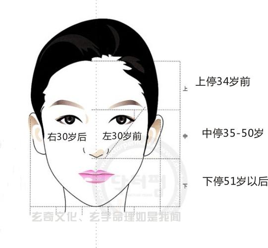 手把手教你看面相