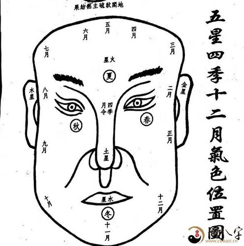 因此 许多 周易八卦兴趣爱好发烧友较为喜爱面相学,面相学除开一些