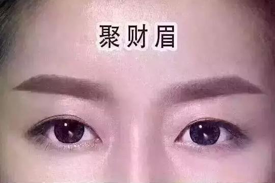 聚财眉