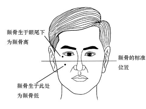 颧骨高的男人面相图解