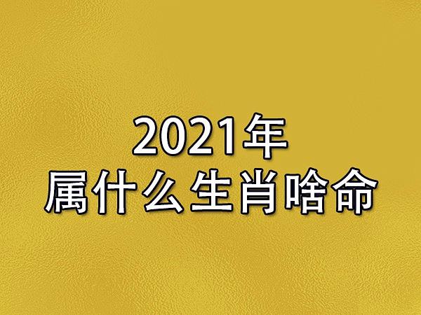 2023年属什么生肖啥命