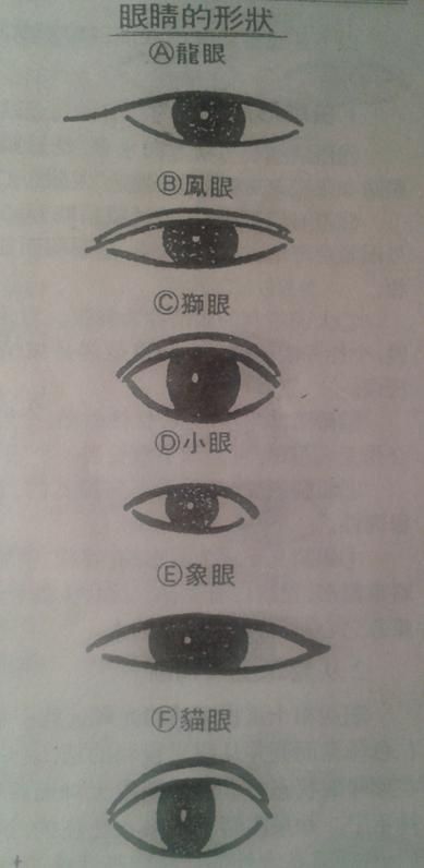 什么是凤眼,桃花眼杏眼,除了这三种还有什么眼型【求图】