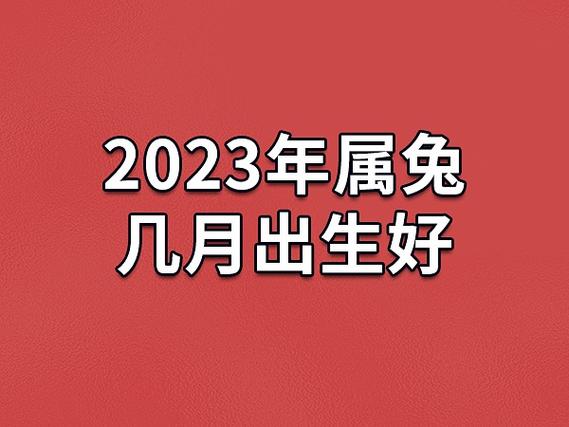 2023年属兔几月出生好