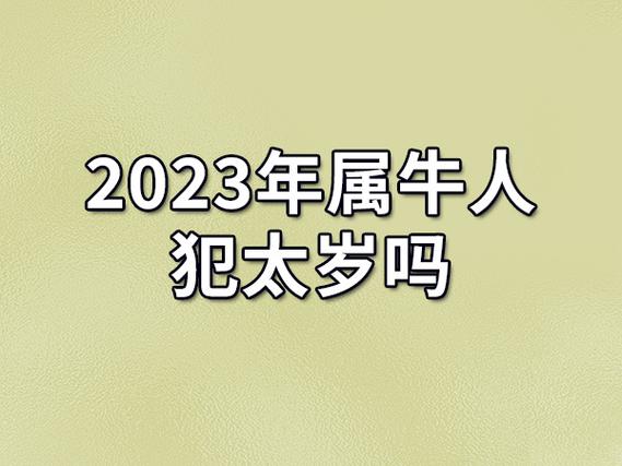 2023年属牛人犯太岁吗