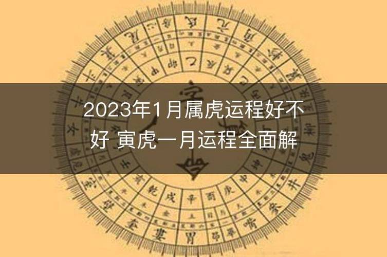 事业运势属虎人在事业运势之中,可以说是一帆风顺,虽然工作中会遇到