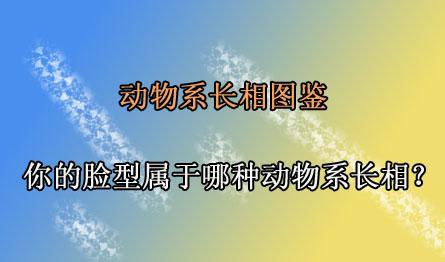 动物系长相图鉴你的脸型属于哪种动物系长相