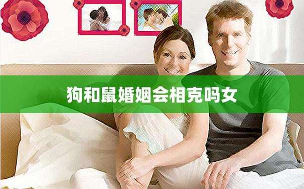 狗和鼠婚姻会相克吗女