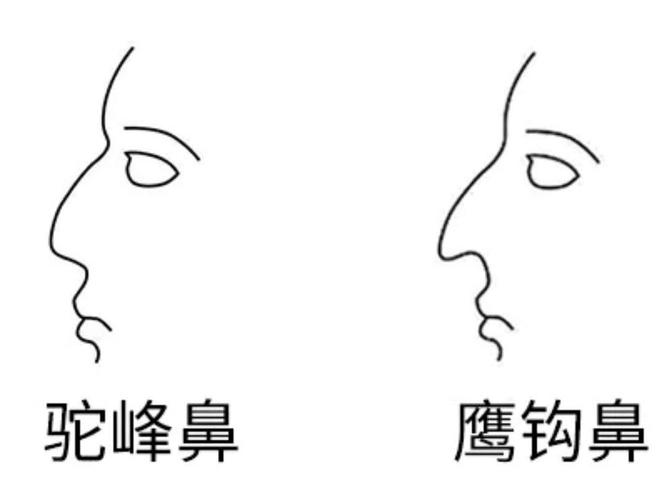 鹰钩鼻性格特点鹰钩鼻性格特点介绍