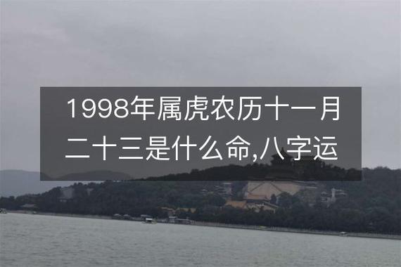 1998年属虎农历十一月二十三是什么命,八字运势,婚姻,事业详解