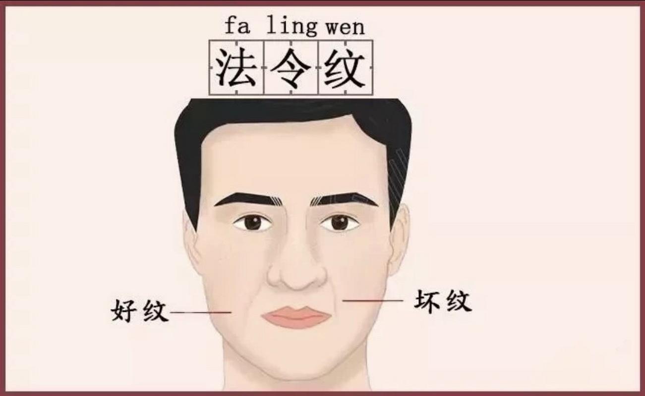 男子面相分析:法令纹  法令纹就是从鼻翼的两边延伸向嘴角的两条对称