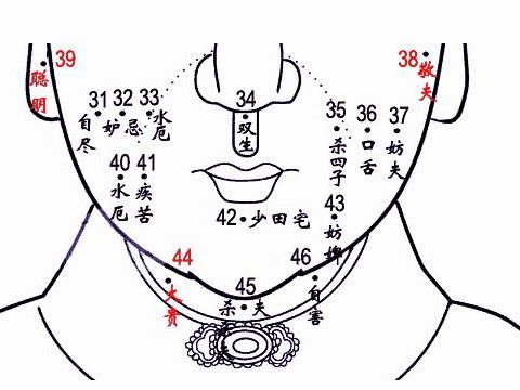 下巴痣图解下巴有痣必大富大贵吗