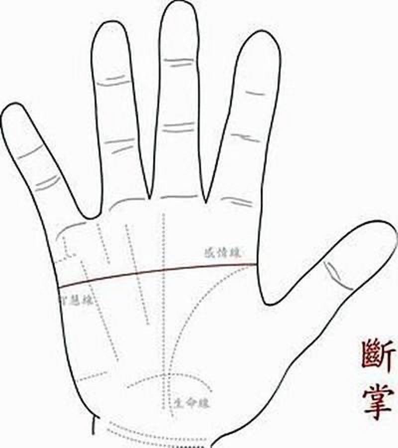 手相断掌与命运?  断掌是命理手相学中对特殊掌纹的一种称呼.