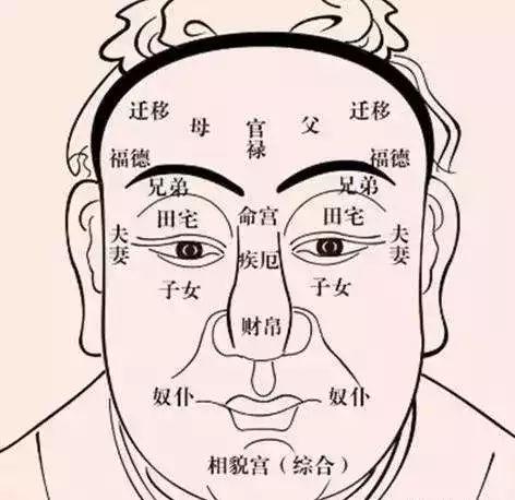 易学面相算命图解:面相十二宫