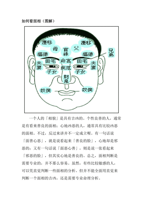 如何看面相(图解).doc