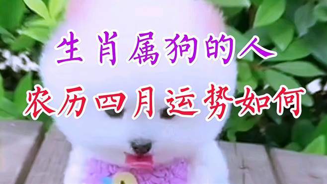生肖属狗的人农历四月运势如何-情感视频-搜狐视频