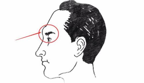 眉骨凸起的面相面相上讲:眉棱骨高,常受波涛,眉骨过分高凸的人一般