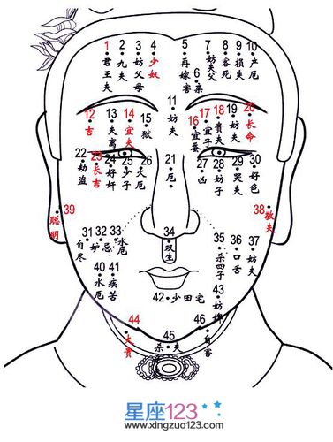 脸上长痣的面相男人女人脸上长痣面相图解大全高清大图