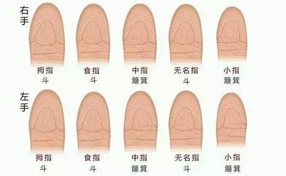这三个手指长度决定你的性格,十二种性格决定十二种命运,性格决定