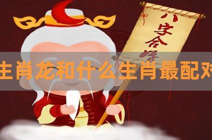 生肖龙和什么生肖最配对,属龙和什么属相最配,属龙婚姻配对什么生肖