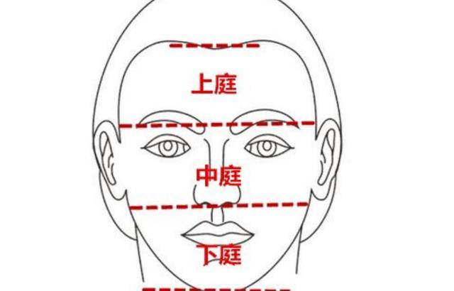 面相学的入门基础,看人先观三庭,是福是祸一清二楚