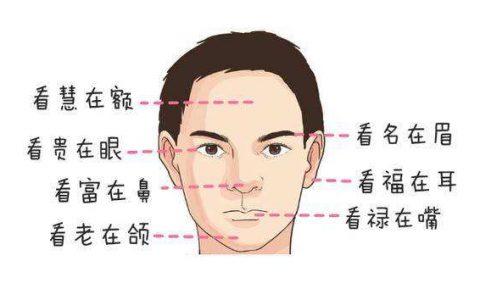 想知道自己是有福之人吗?面部骨相图解让你一一比对