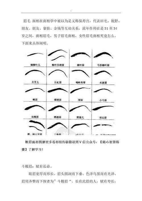 相学面相全解有一根硬眉毛_眉毛相学口诀_女人眉毛相学大全图解