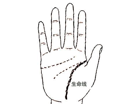 手相没有生命线的人代表什么(图1)