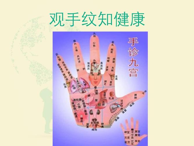 手诊知识学习 观手纹知健康