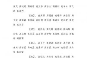 高姓男孩起名方法介绍.docx