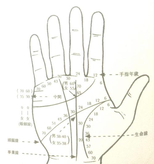 1.4 手相与年龄