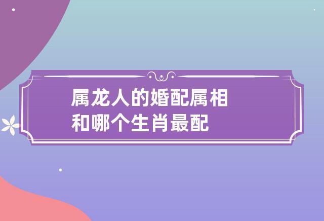 属龙人的婚配属相 和哪个生肖最配