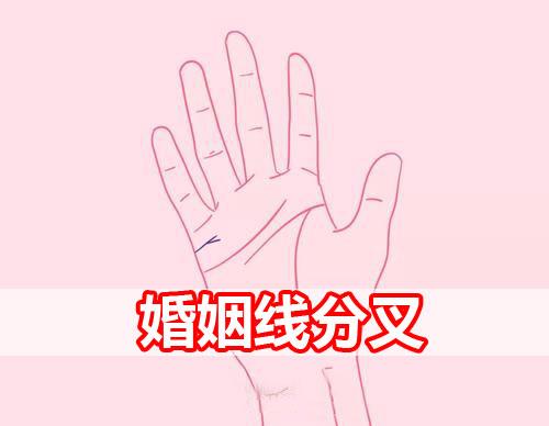 女人婚姻线分叉会怎么样