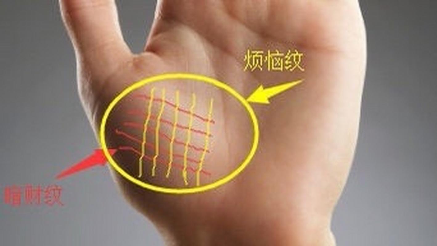 在手相命理中,假如大拇指根部的艮宫位置,有许多横向的明晰细纹,细纹