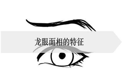 例如龙眼,丹凤眼,三角眼每个人的眼睛都不一样,那么龙眼面相的特征是