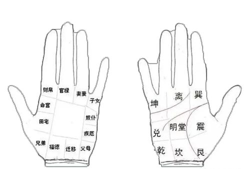 手相金不换秘诀,学会自己看手相-周易易学讲堂-手相算命