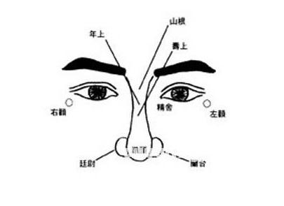 鼻子面相算命特征看鼻子知性格和命运