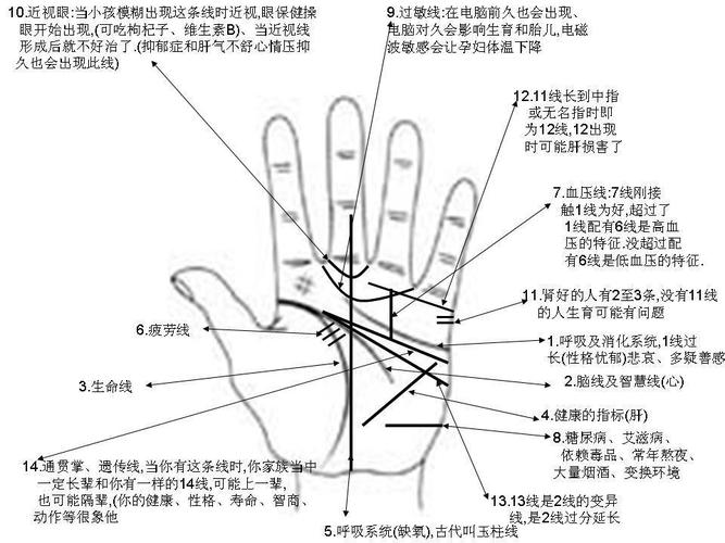 手相有着左右手之分.男生的手相,右手为先天,左手后天,而女生则反之.